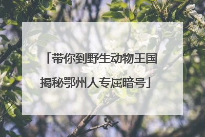 带你到野生动物王国揭秘鄂州人专属暗号