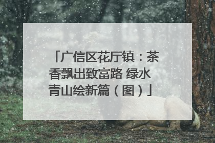 广信区花厅镇：茶香飘出致富路 绿水青山绘新篇（图）