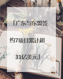 广东与东盟签约7项目累计超31亿美元
