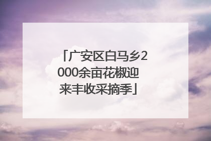 广安区白马乡2000余亩花椒迎来丰收采摘季
