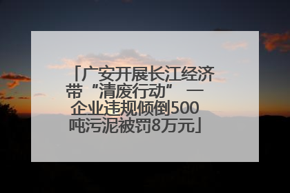 广安开展长江经济带“清废行动” 一企业违规倾倒500吨污泥被罚8万元