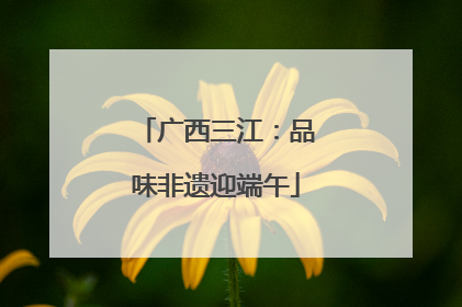 广西三江：品味非遗迎端午