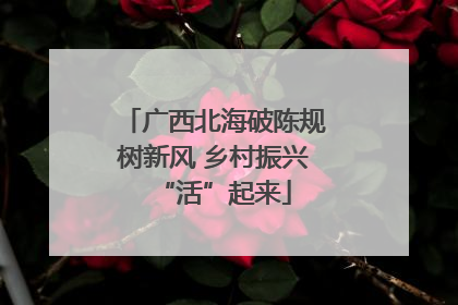 广西北海破陈规树新风 乡村振兴“活”起来