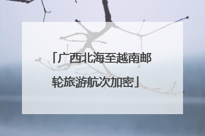 广西北海至越南邮轮旅游航次加密