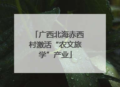 广西北海赤西村激活“农文旅学”产业