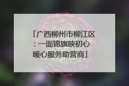 广西柳州市柳江区：一面锦旗映初心 暖心服务助营商