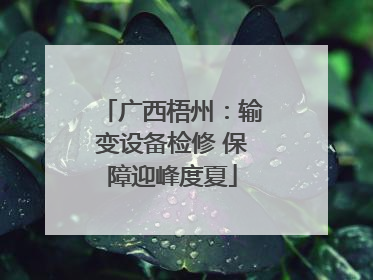 广西梧州：输变设备检修 保障迎峰度夏