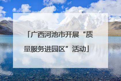 广西河池市开展“质量服务进园区”活动