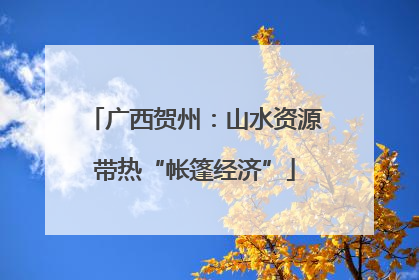 广西贺州：山水资源带热“帐篷经济”