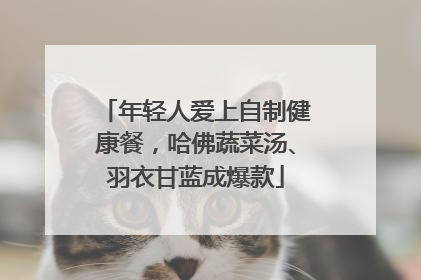 年轻人爱上自制健康餐，哈佛蔬菜汤、羽衣甘蓝成爆款