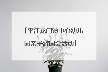平江龙门镇中心幼儿园亲子游园会活动