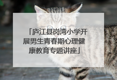 庐江县岗湾小学开展男生青春期心理健康教育专题讲座