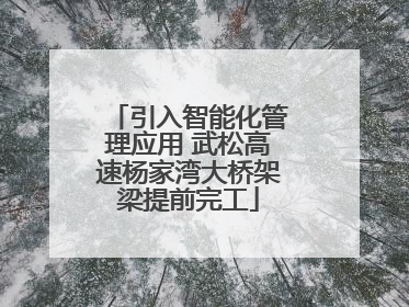 引入智能化管理应用 武松高速杨家湾大桥架梁提前完工