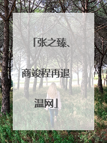 张之臻、商竣程再退温网