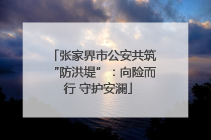 张家界市公安共筑“防洪堤”：向险而行 守护安澜
