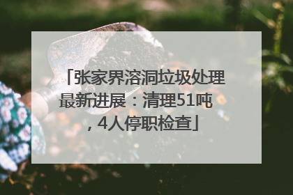 张家界溶洞垃圾处理最新进展：清理51吨，4人停职检查