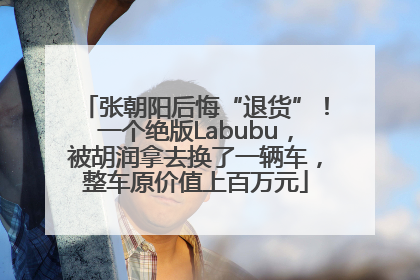 张朝阳后悔“退货”！一个绝版Labubu，被胡润拿去换了一辆车，整车原价值上百万元