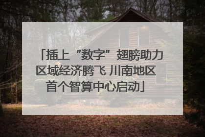 插上“数字”翅膀助力区域经济腾飞 川南地区首个智算中心启动