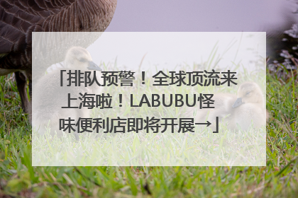排队预警！全球顶流来上海啦！LABUBU怪味便利店即将开展→