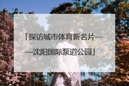 探访城市体育新名片——沈阳国际泵道公园
