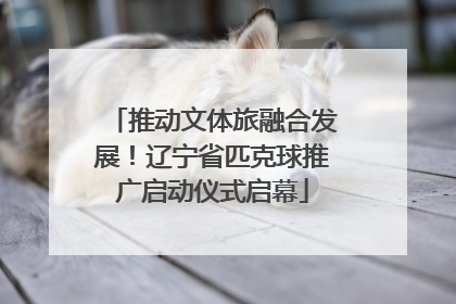 推动文体旅融合发展！辽宁省匹克球推广启动仪式启幕