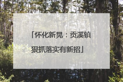 怀化新晃：贡溪镇狠抓落实有新招