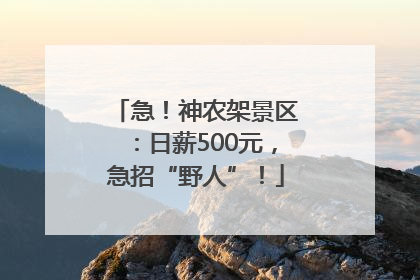 急！神农架景区：日薪500元，急招“野人”！