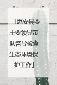 惠安县委主要领导带队督导检查生态环境保护工作