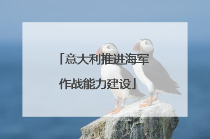 意大利推进海军作战能力建设