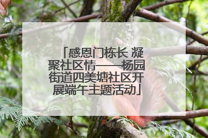 感恩门栋长 凝聚社区情——杨园街道四美塘社区开展端午主题活动