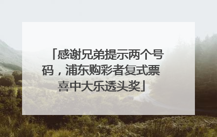 感谢兄弟提示两个号码，浦东购彩者复式票喜中大乐透头奖