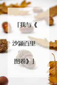 我与《沙颍百里图卷》