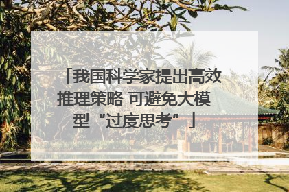我国科学家提出高效推理策略 可避免大模型“过度思考”