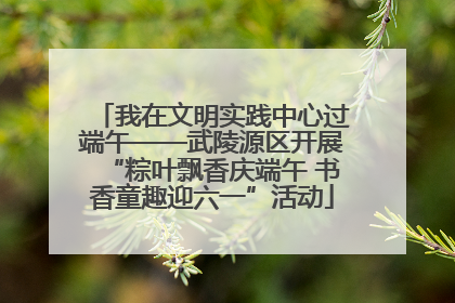 我在文明实践中心过端午——武陵源区开展“粽叶飘香庆端午 书香童趣迎六一”活动