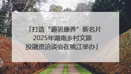 打造“避暑康养”新名片 2025年湖南乡村文旅投融资洽谈会在桃江举办