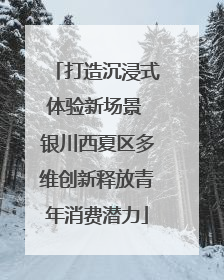 打造沉浸式体验新场景 银川西夏区多维创新释放青年消费潜力