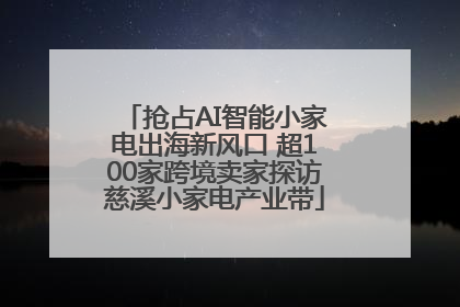 抢占AI智能小家电出海新风口 超100家跨境卖家探访慈溪小家电产业带