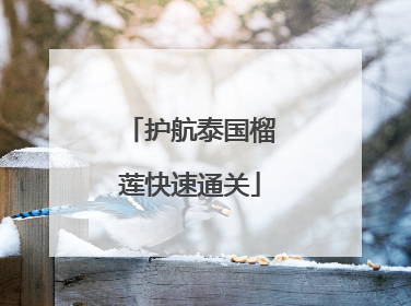 护航泰国榴莲快速通关