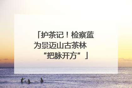护茶记！检察蓝为景迈山古茶林 “把脉开方”