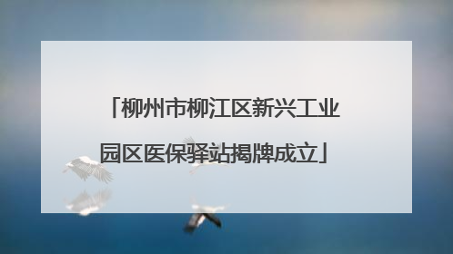 柳州市柳江区新兴工业园区医保驿站揭牌成立