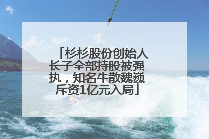 杉杉股份创始人长子全部持股被强执，知名牛散魏巍斥资1亿元入局