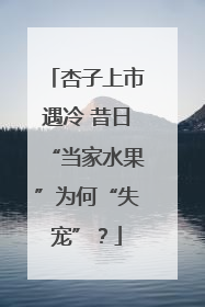 杏子上市遇冷 昔日“当家水果”为何“失宠”？