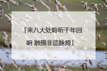 来八大处聆听千年回响 触摸非遗脉搏
