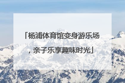 杨浦体育馆变身游乐场，亲子乐享趣味时光