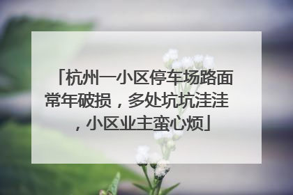 杭州一小区停车场路面常年破损，多处坑坑洼洼，小区业主蛮心烦