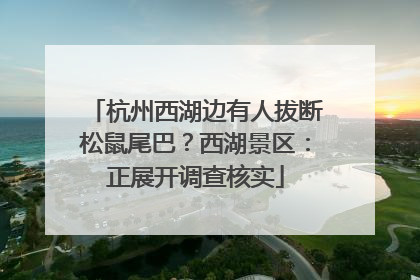 杭州西湖边有人拔断松鼠尾巴？西湖景区：正展开调查核实