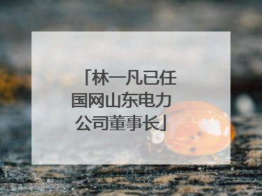 林一凡已任国网山东电力公司董事长