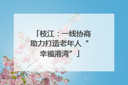 枝江：一线协商助力打造老年人“幸福港湾”