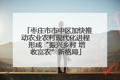 枣庄市市中区加快推动农业农村现代化进程 形成“振兴乡村 增收富农”新格局