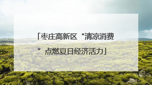 枣庄高新区“清凉消费”点燃夏日经济活力